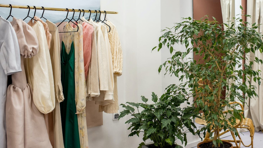 sustainable apparel hanging on a clothing rack in a room with two plants