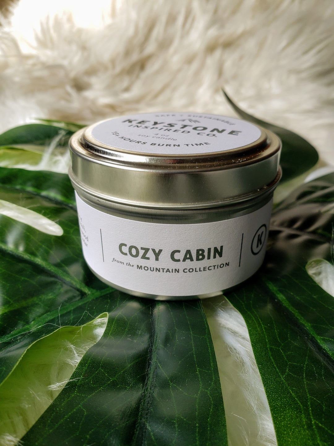 Cozy Cabin Travel Tin Candle