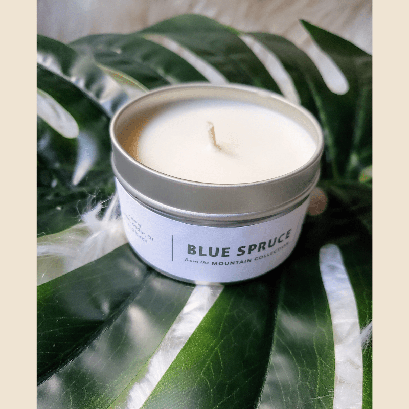 Blue Spruce Travel Tin Candle